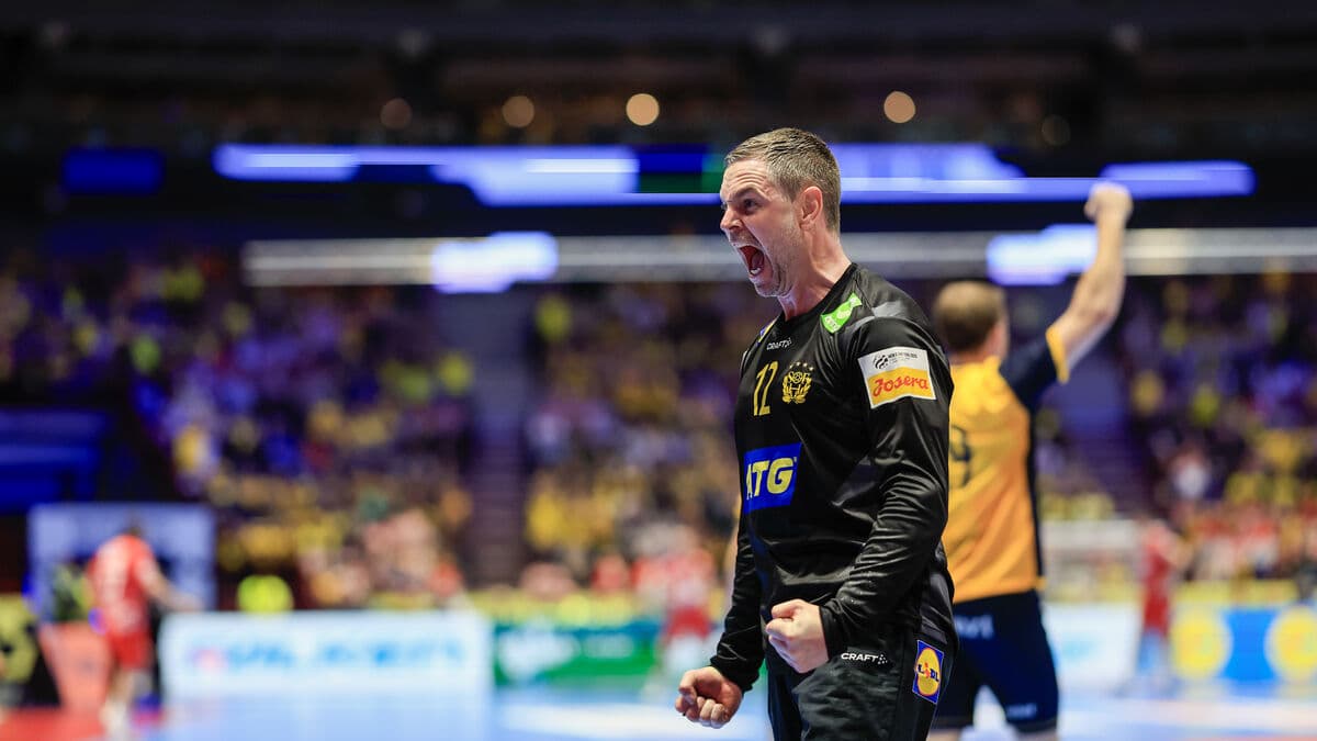 Sweden and Palicka flexed their muscles