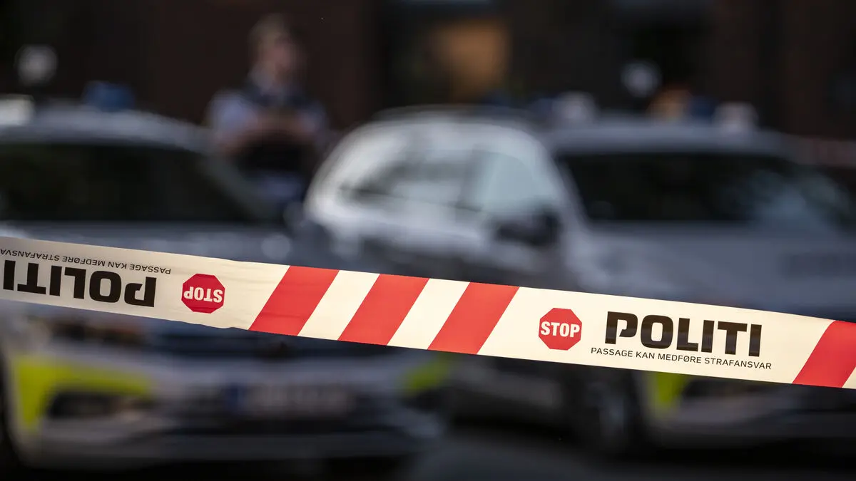 Swedish man found dead in