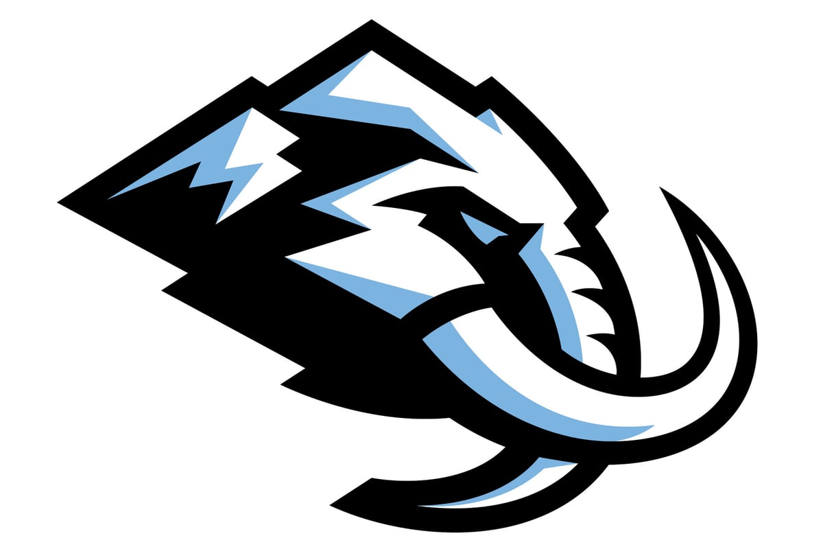 Utah NHL Team Renamed Mammoth After 850,000 Fan Votes