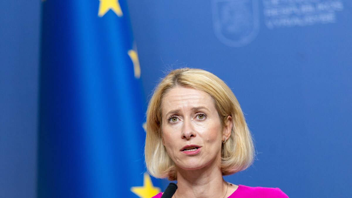 Kallas calls for more ships for EU Red Sea protection mission