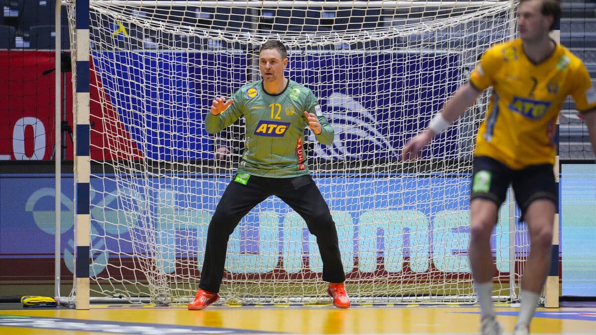 Andreas Palicka to Miss Sweden's Handball Matches Against Spain Due to Injury