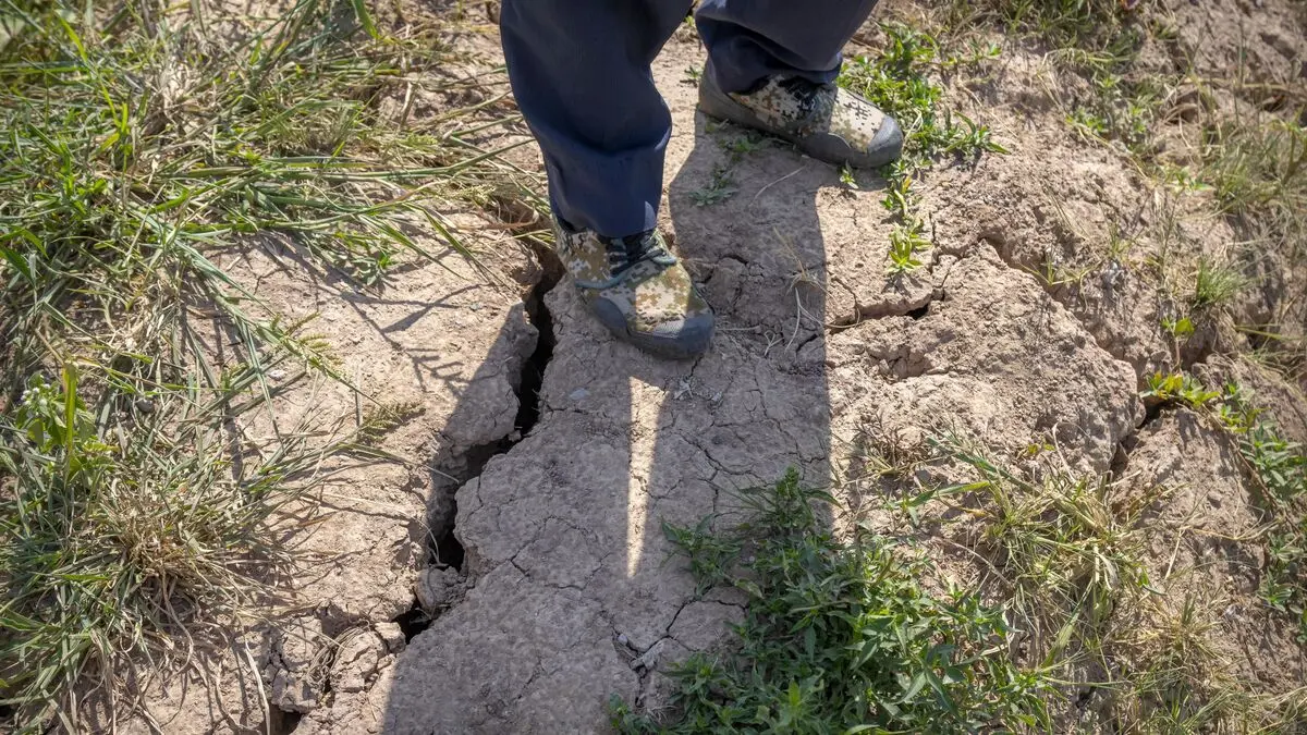 Asian drought pushes rice prices sharply higher