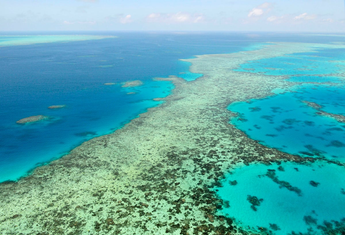 Man dies in shark attack at the Great Barrier Reef
