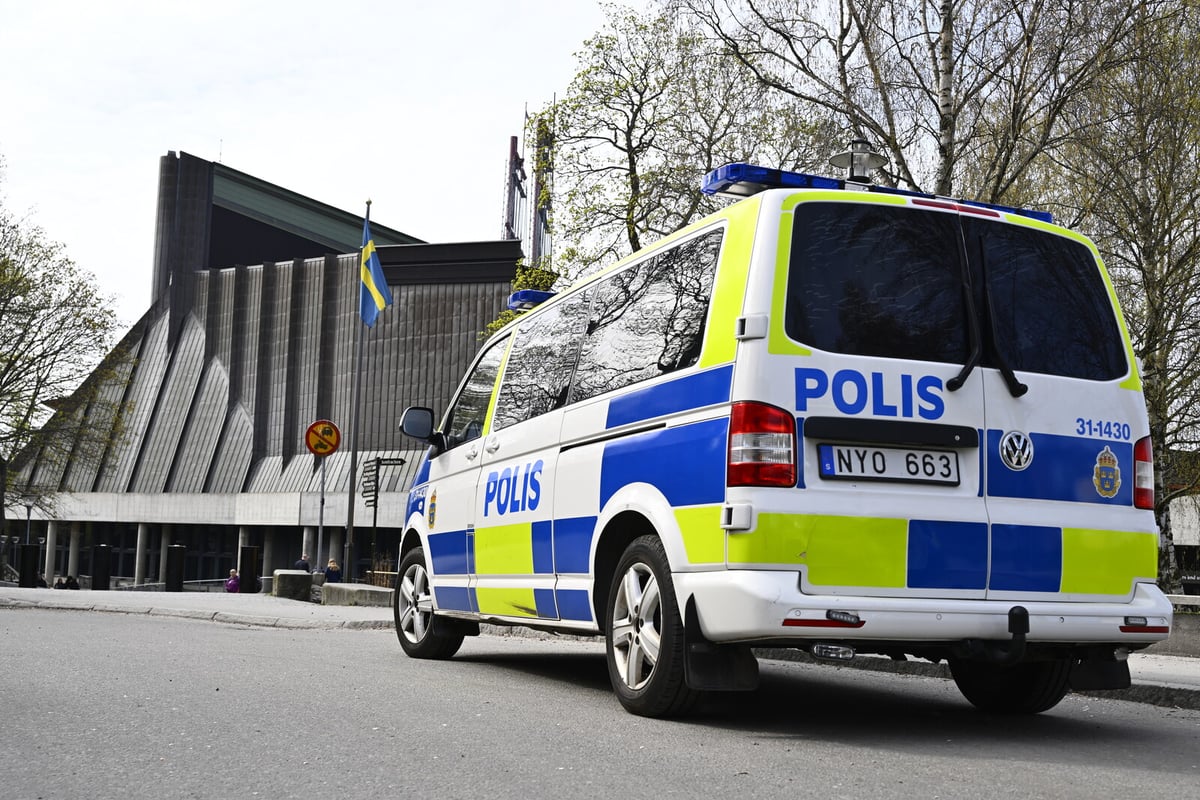 Culture Minister Outraged by Activists' Vasa Ship Protest