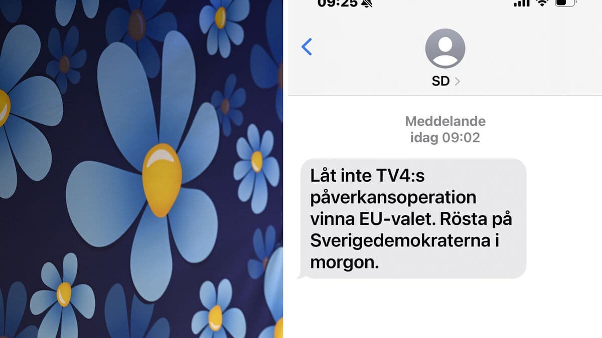 Swedish Parties Reprimanded for Unconsented Mass SMS Before Elections