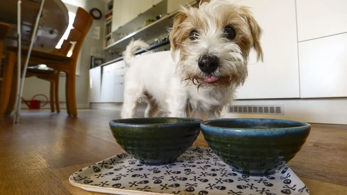 Swedencare shares plunge 27 percent after profit warning