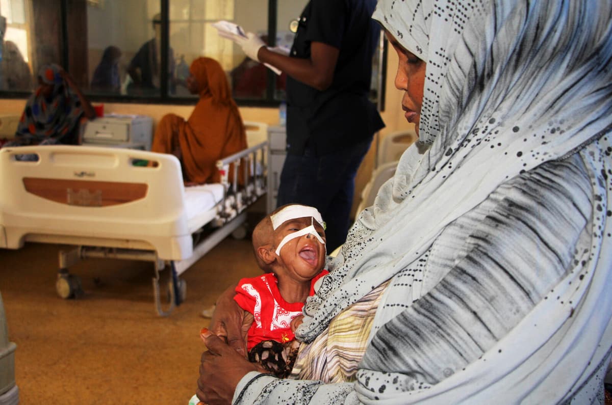 Over 4 Million Somalis Facing Acute Food Insecurity