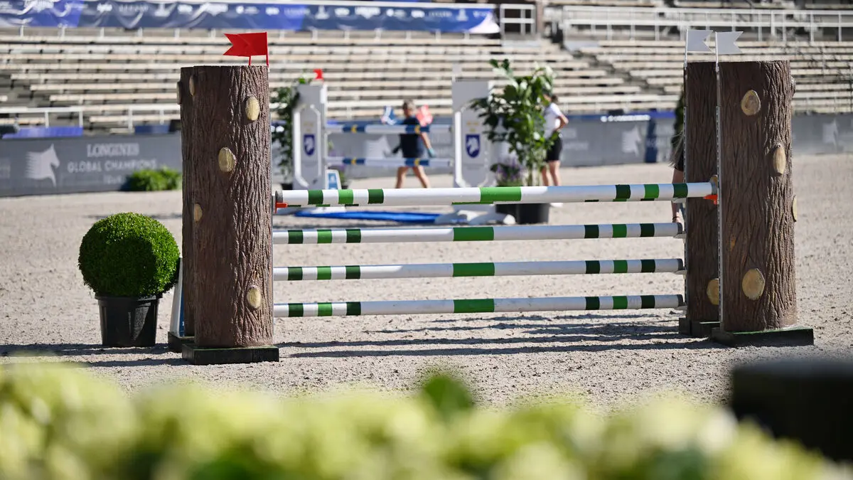 Swedish Equestrian Federation secretary general Johan Fyrberg quitting immediately - need to switch up work