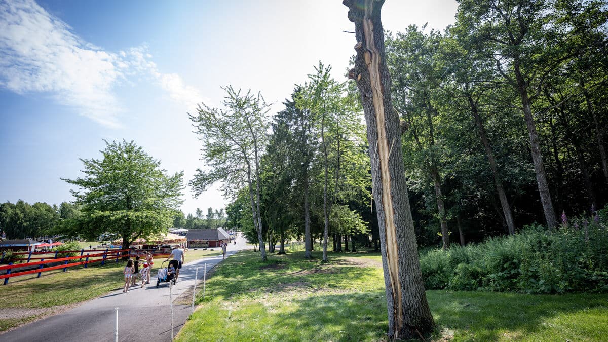 Four still in hospital after lightning strike at Tosselilla Summerland in Sweden