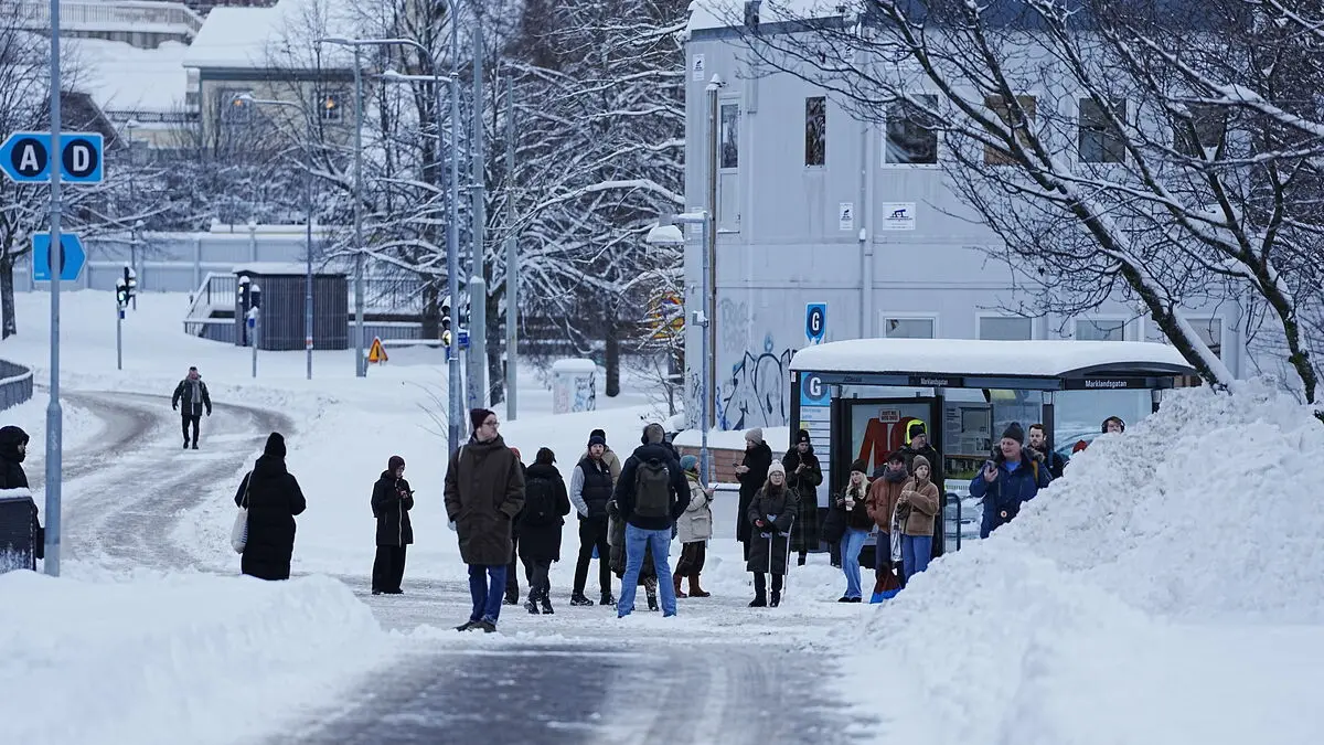 Snow chaos in the west