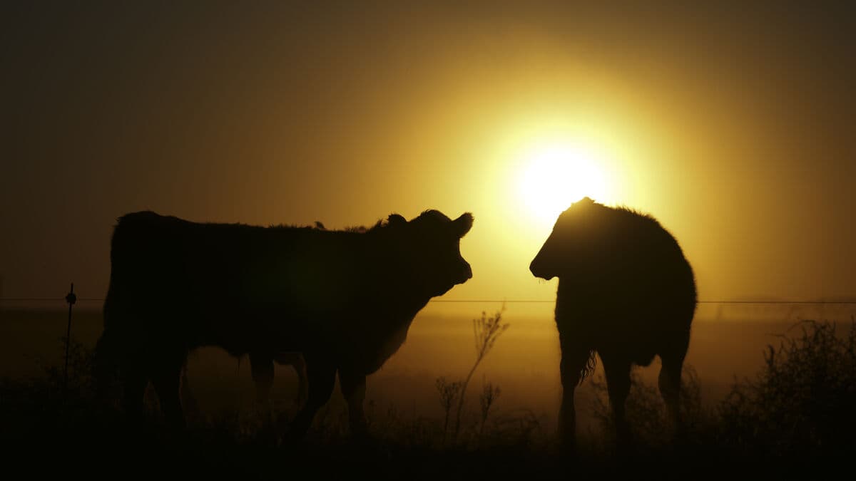 Methane emissions are increasing – but not as fast