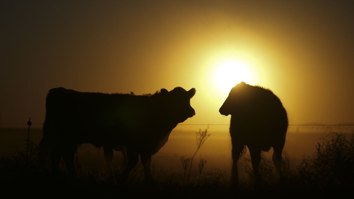 Methane emissions are increasing – but not as fast