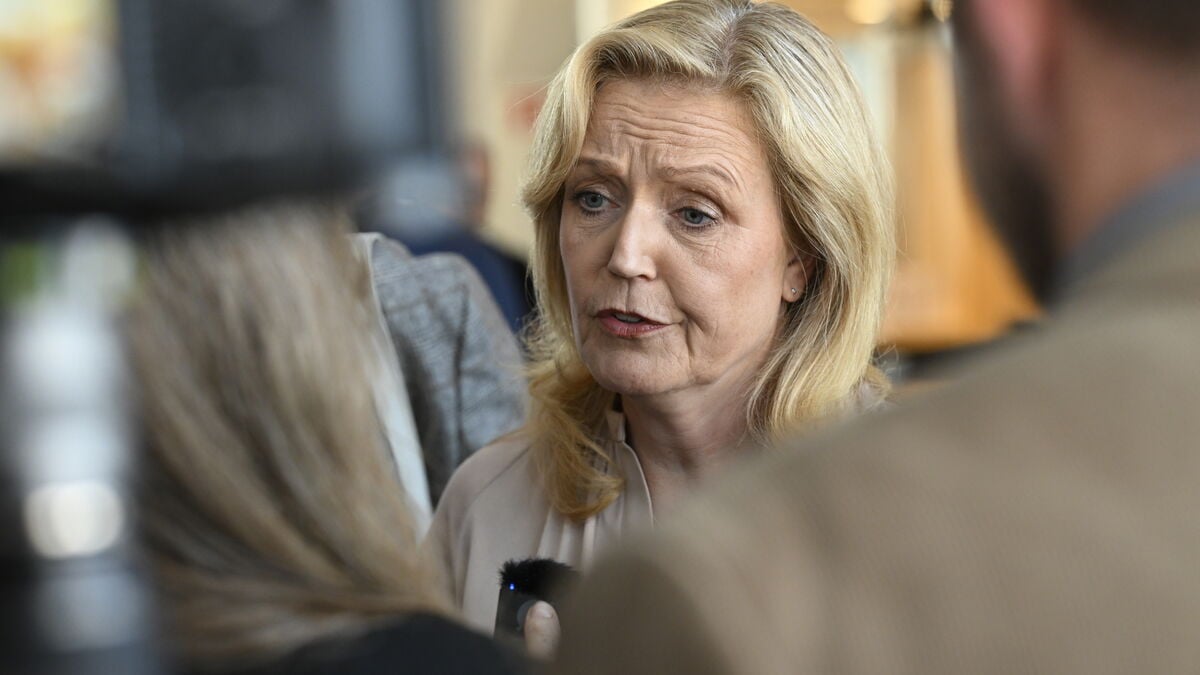 Centre Party to host red-green parties for meeting at Lidingö conference hotel