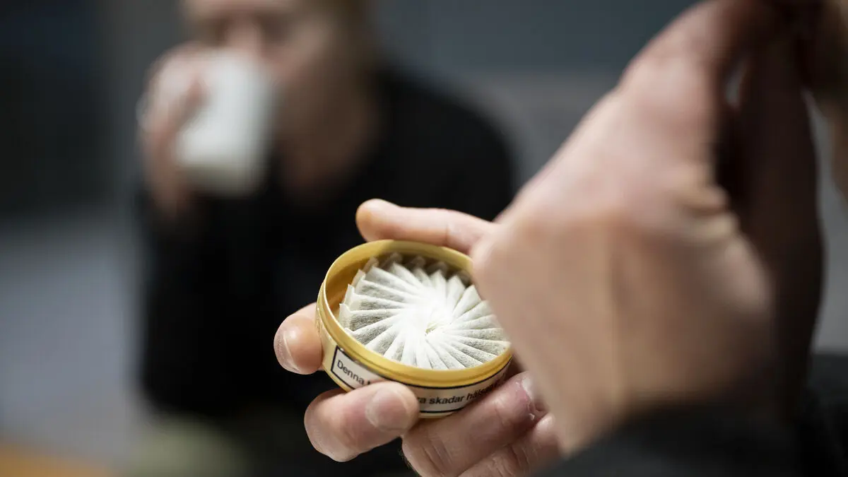 Snus row in Norway - rages over proposal to cap nicotine