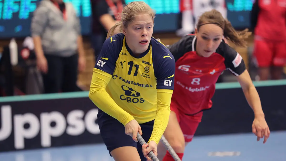 Swedish World Cup fiasco: "We have ourselves to blame"