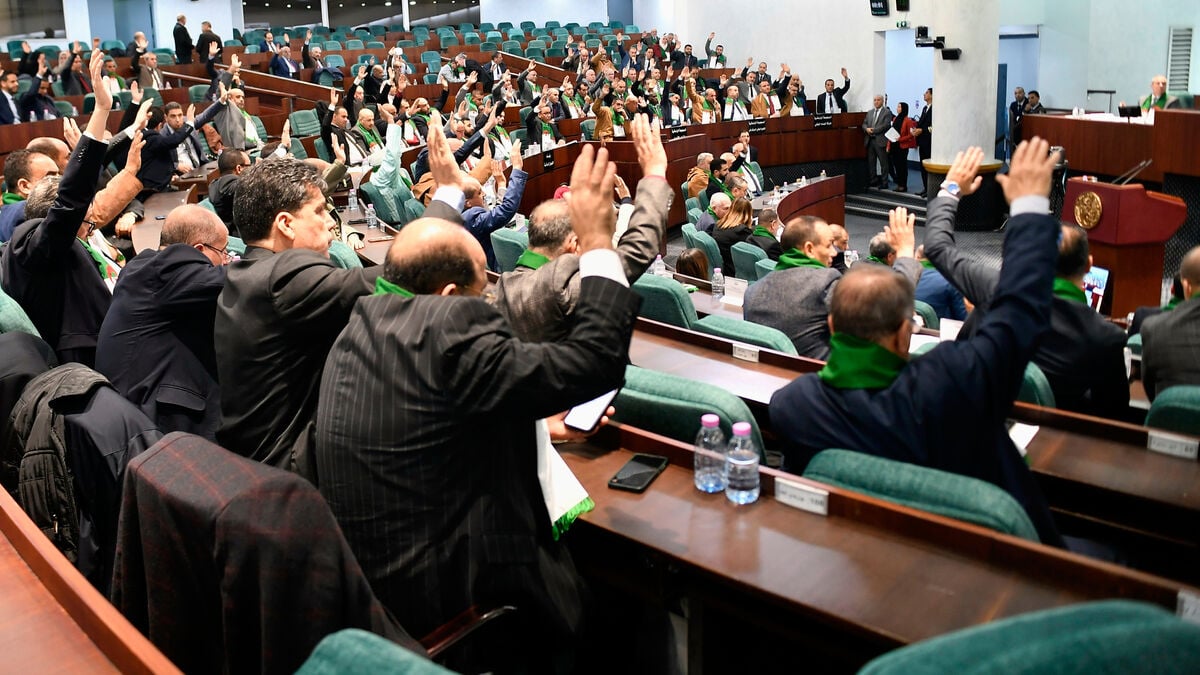 Algeria passes law listing the crimes of French colonization