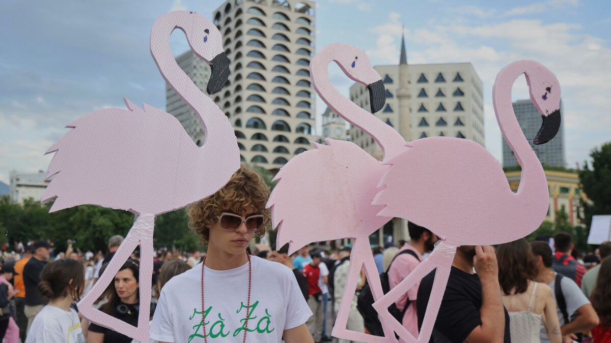 Flamingo protests against Kushner-invested hotel in Albania
