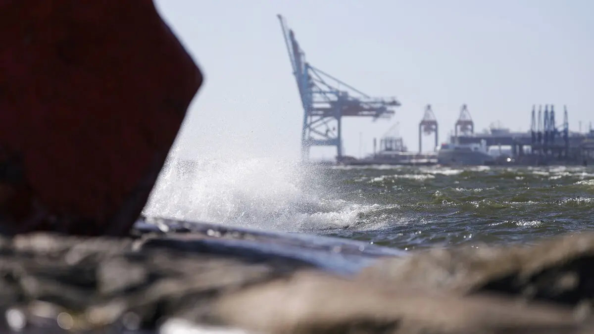 Insurance companies: How to protect yourself from the storm