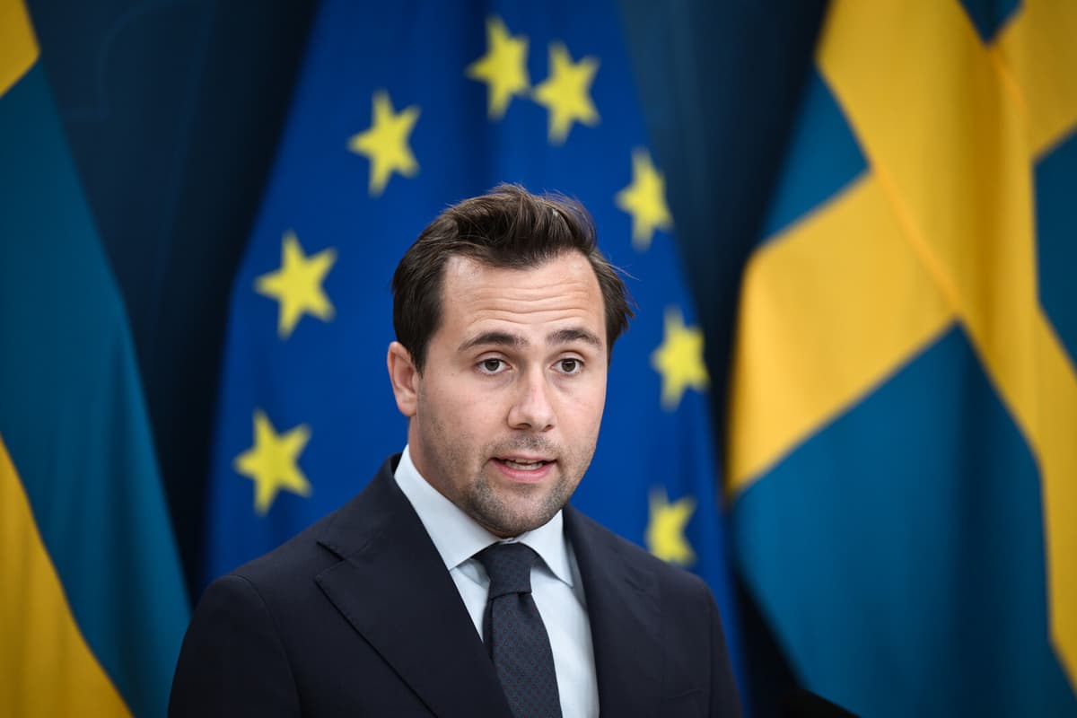 Dousa: EU-US Customs Deal Not Ideal, Sweden Seeks More Reductions