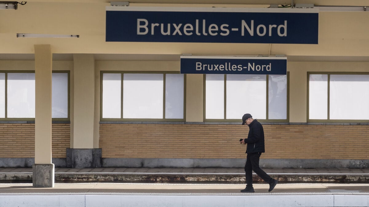 Night-time closure of bars and brothels in Brussels