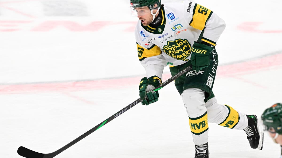 Björklöven decided - qualifying final awaits