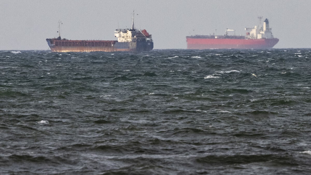 Russian captain faces re-arrest request over suspected false document on bulk carrier Caffa