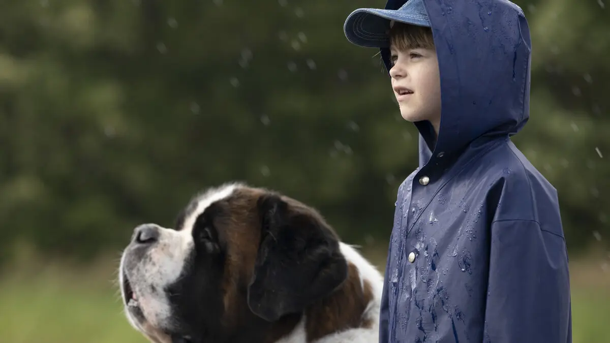 TV top: "The Salt Crow" on the list