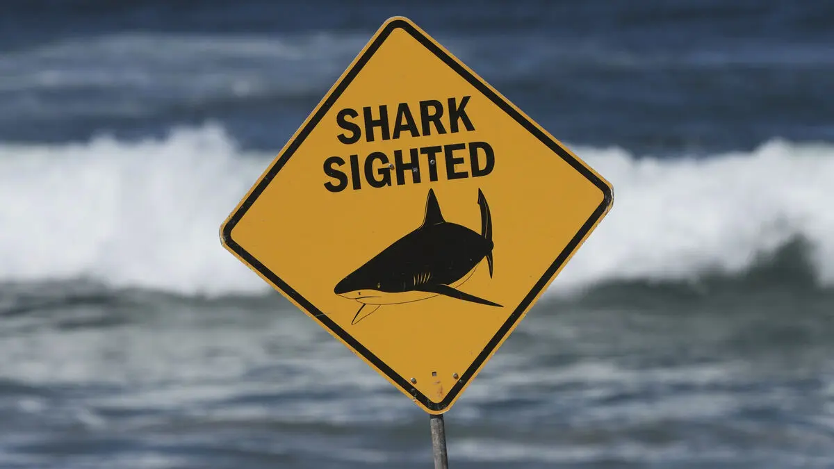 Woman dies after shark attack