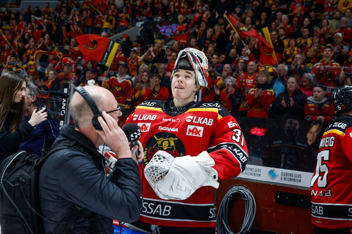 Matteus Ward Aims for Championship Glory with Luleå in SHL Playoffs