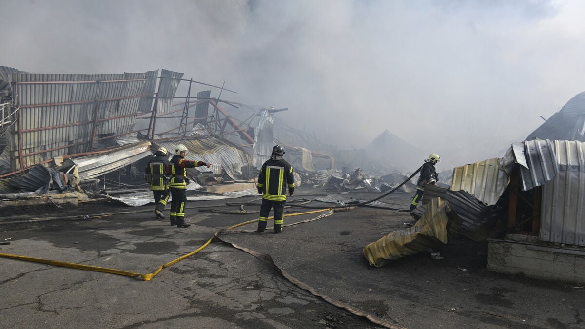 Attack on sunflower oil plant on the Black Sea coast