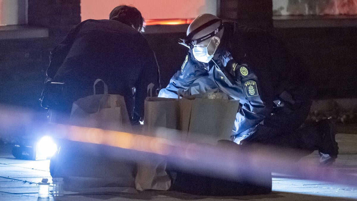 Shots Fired at Villa in Eastern Malmö as Police Search for Suspect