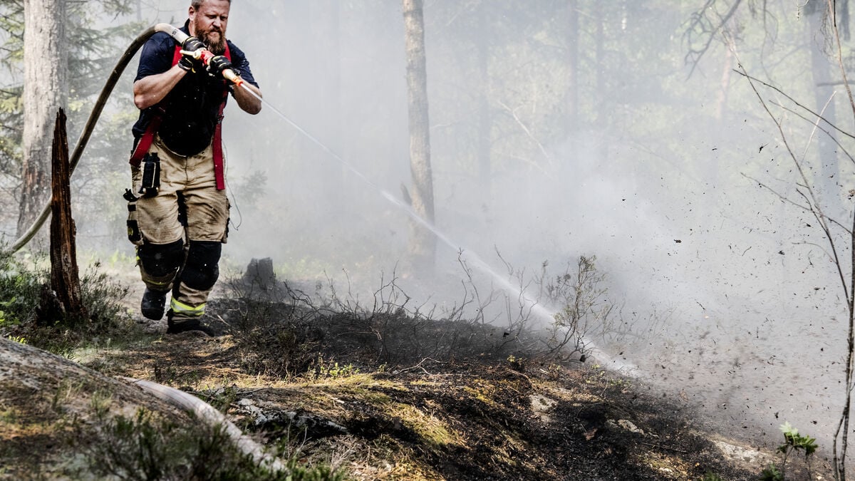 SMHI warns - increased risk of forest and grass fires