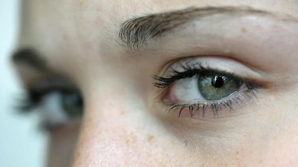 One-eyed relative behind human eyes lived 600 million years ago