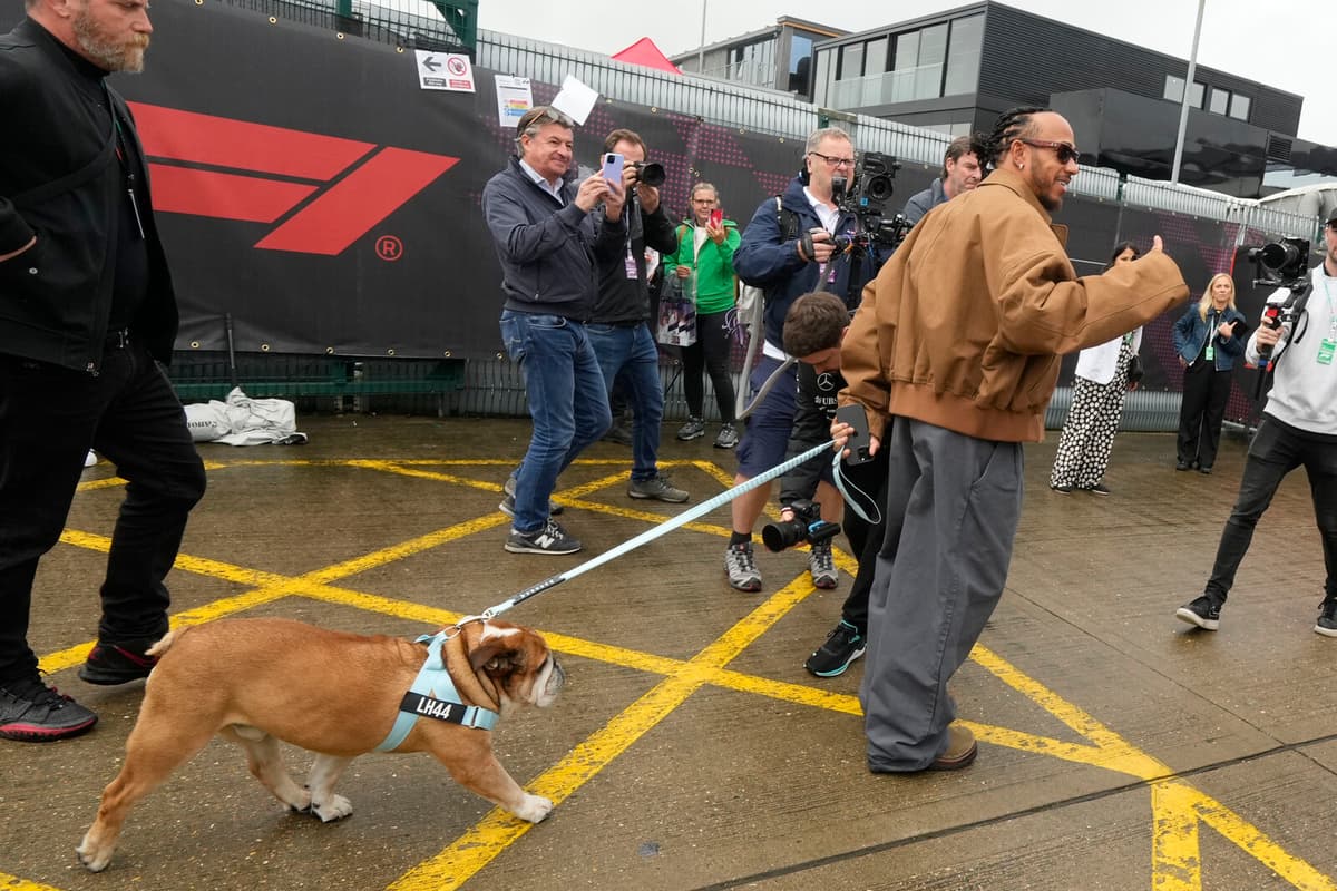 Lewis Hamilton Misses F1 Tire Test Due to Dog's Critical Illness