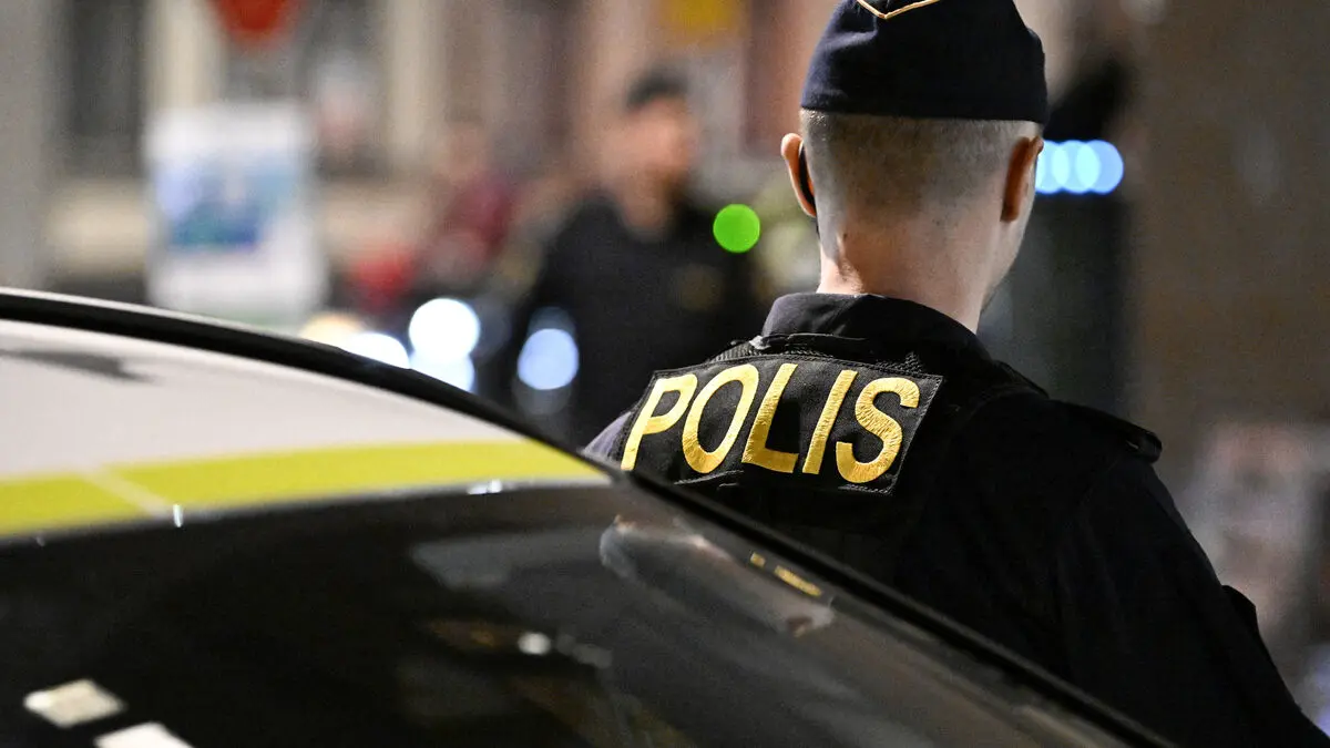 UN criticism of Sweden's visitation zones