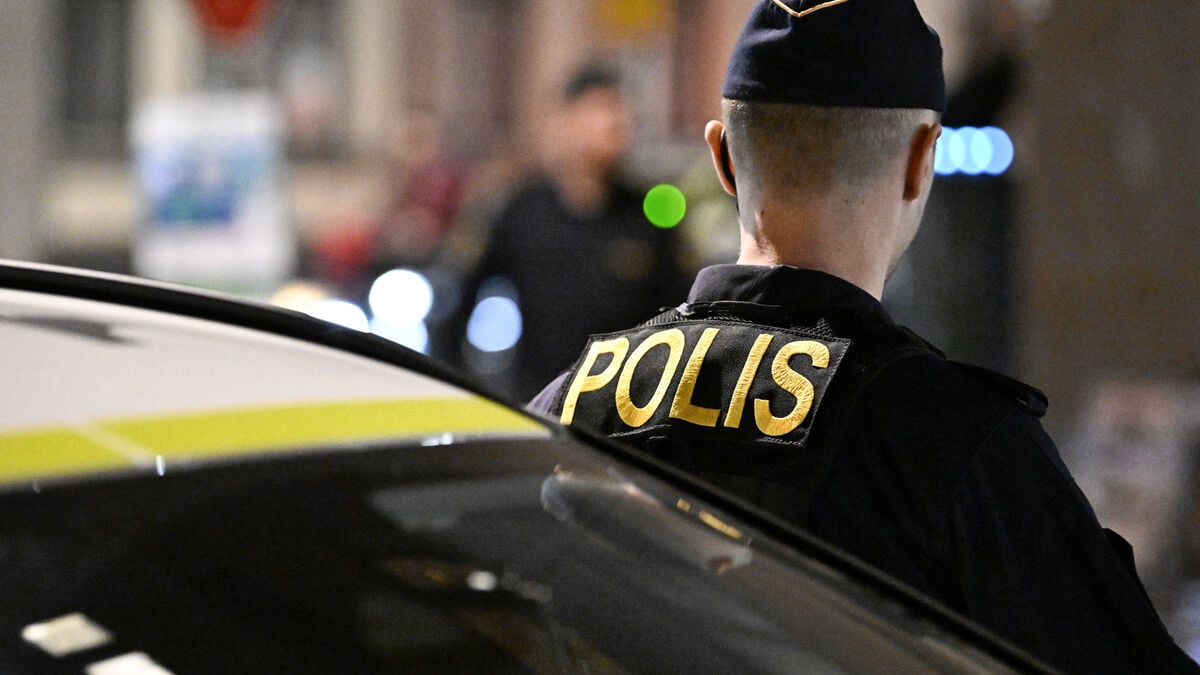 UN criticism of Sweden's visitation zones