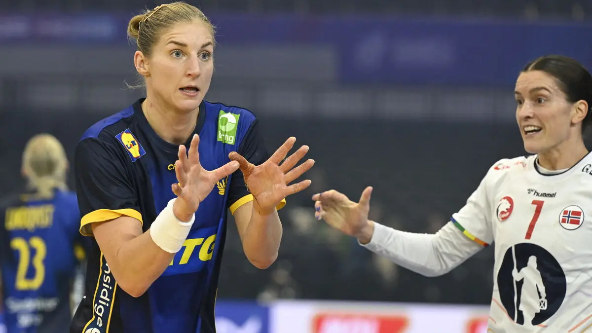 Swedish World Cup collapse: "Shouldn't be this bad"