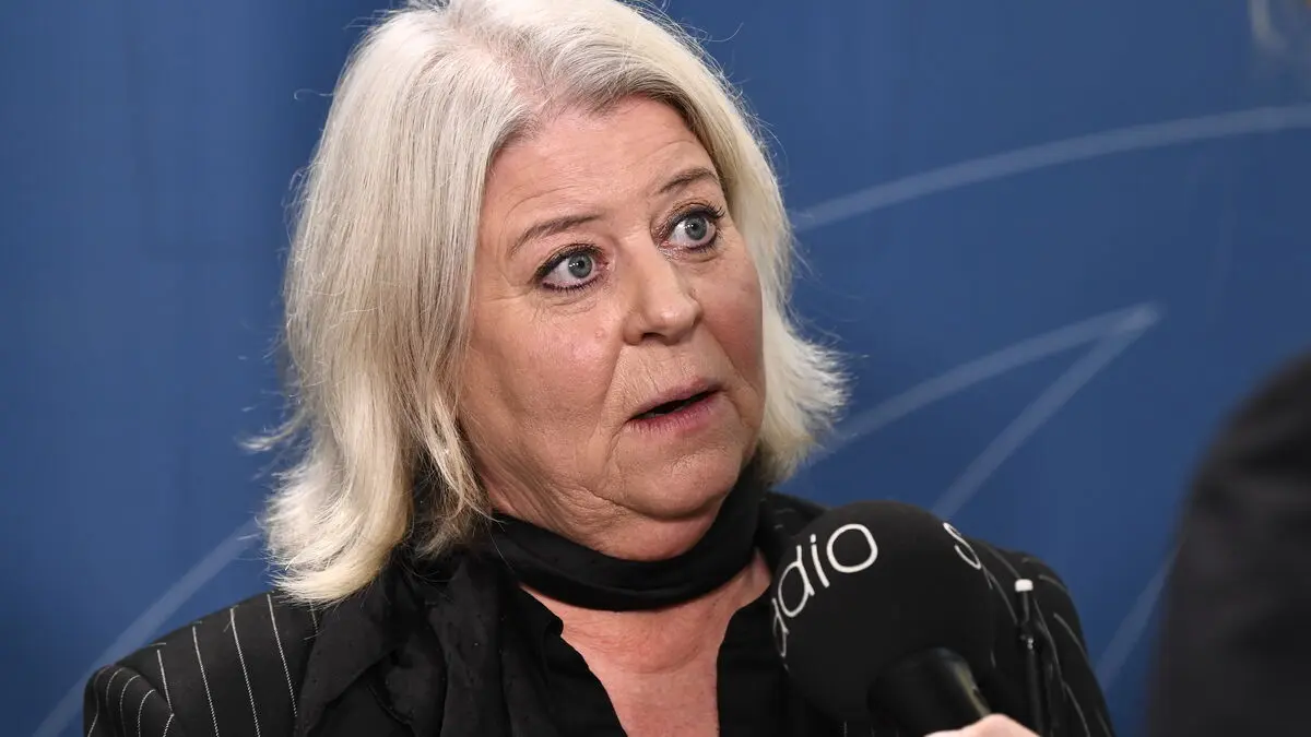 Minister after the meeting about the sex dolls: Broad consensus