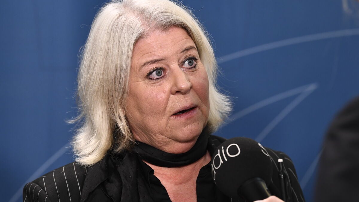 Minister after the meeting about the sex dolls: Broad consensus