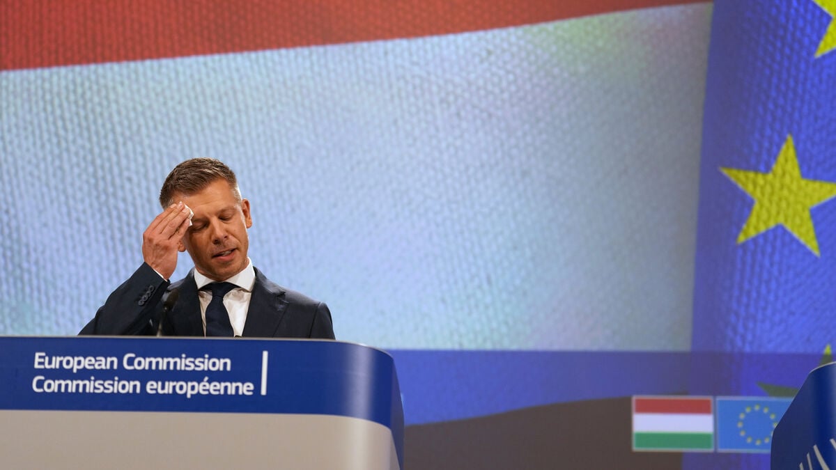 Hungary’s new government faces race against time to clean up Orbán’s system