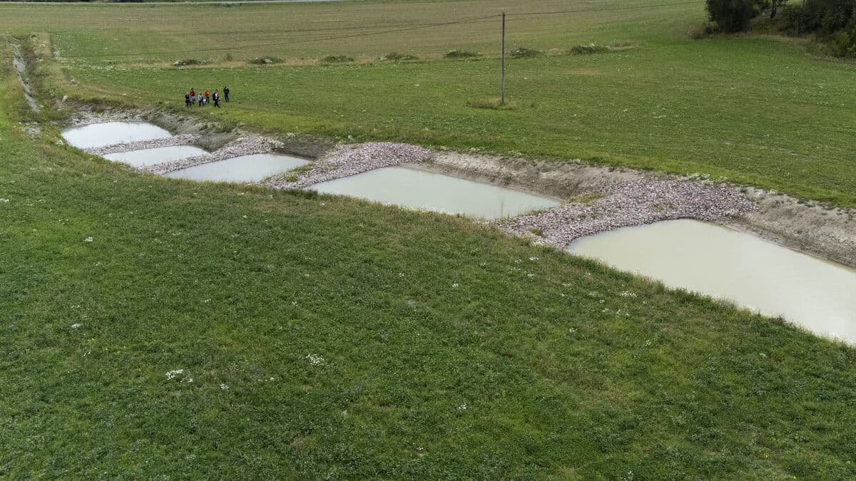 Weapons in the fight against the dead sea: Wetlands in the field