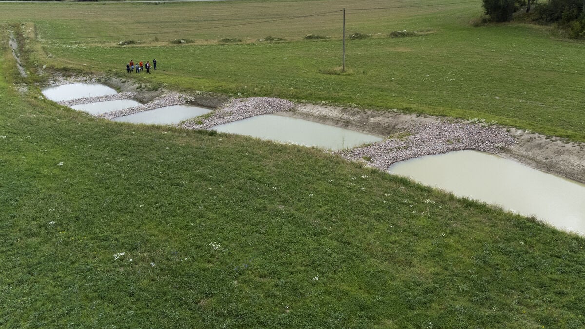 Weapons in the fight against the dead sea: Wetlands in the field
