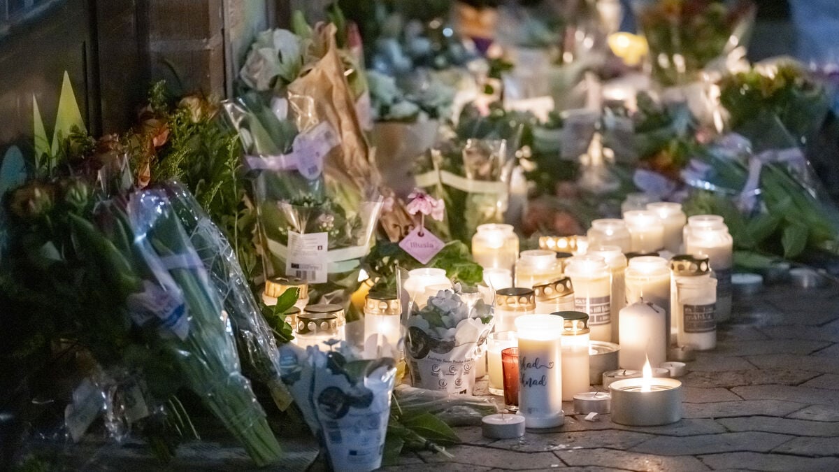 Man Remanded in Custody on Probable Grounds for Murder After Fatal Malmö Stabbing