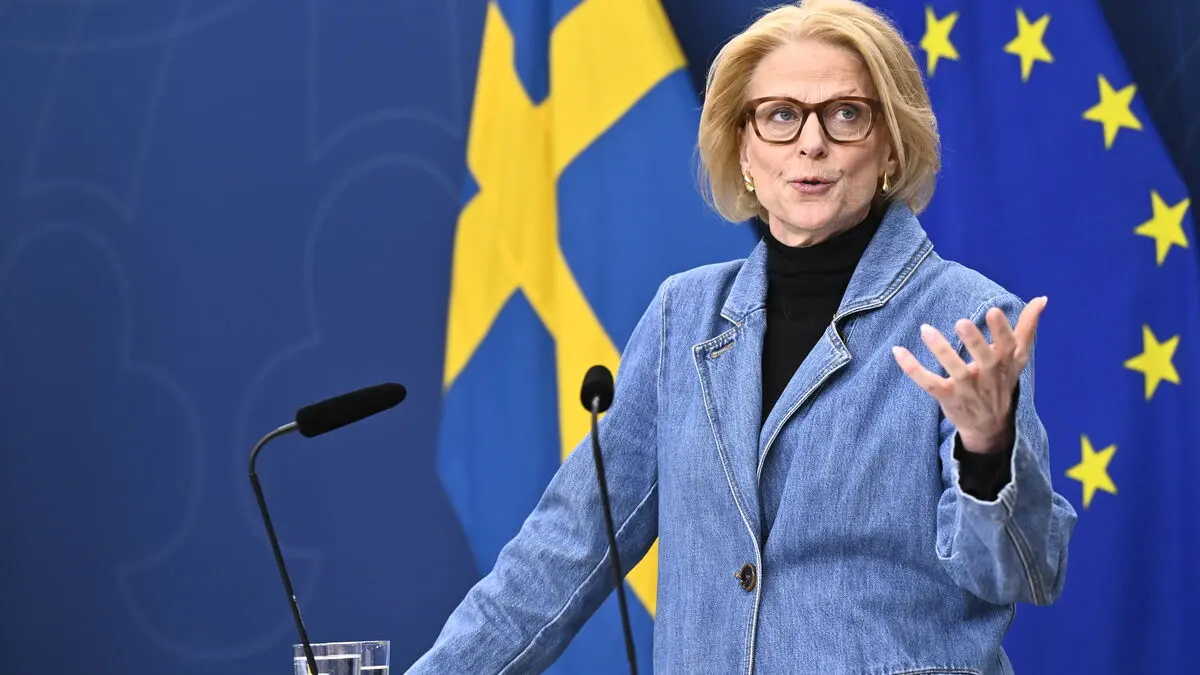 Svantesson says money for new reforms has run out