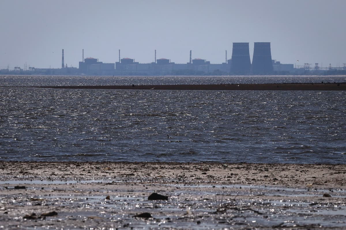 Zaporizhzhia Nuclear Plant in Ukraine Without Power for Four Days