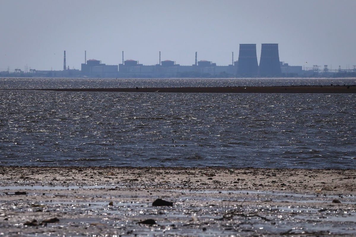 Zaporizhzhia Nuclear Plant in Ukraine Without Power for Four Days