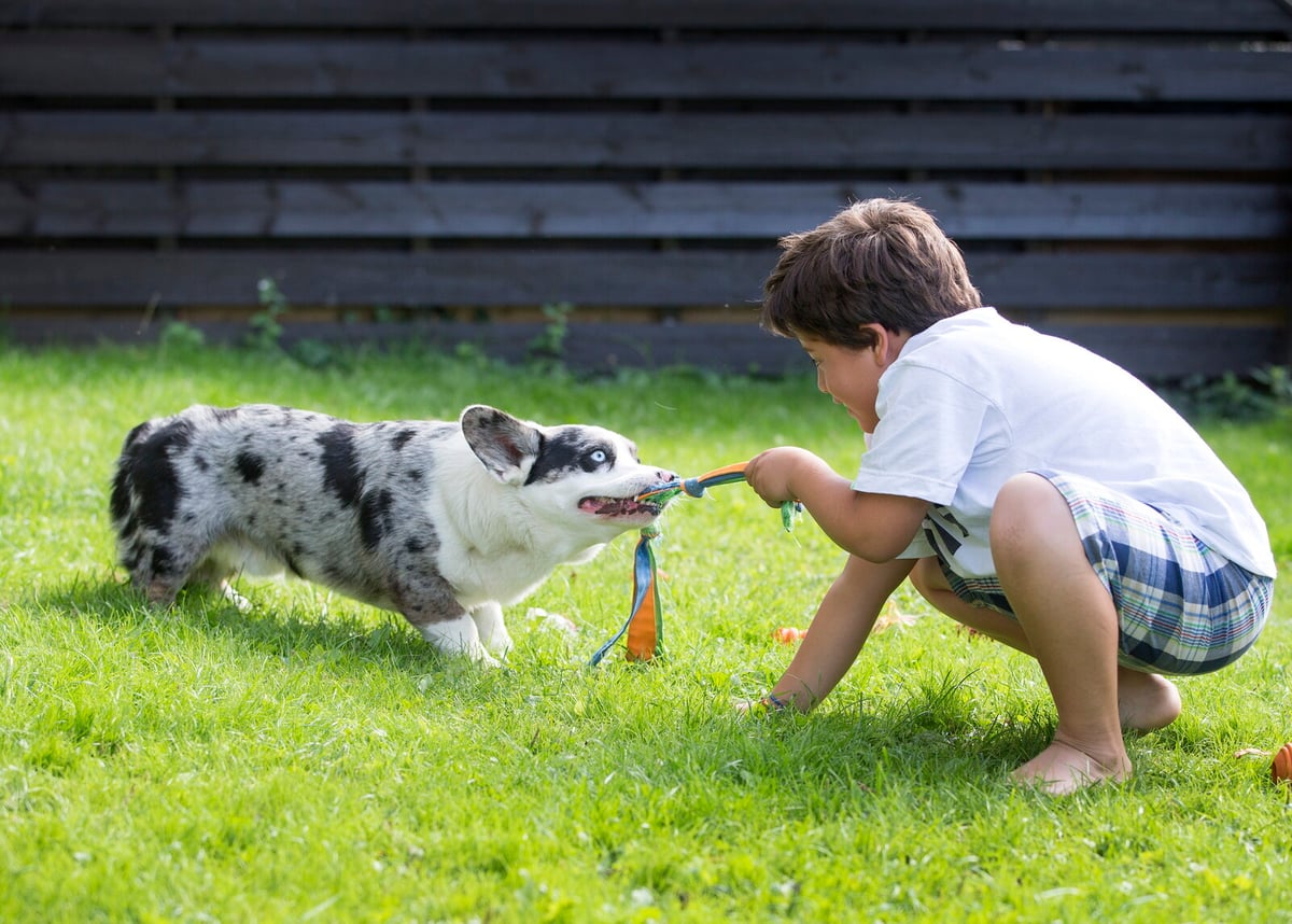 Dog and Child Names Often Overlap in Popularity, Study Finds