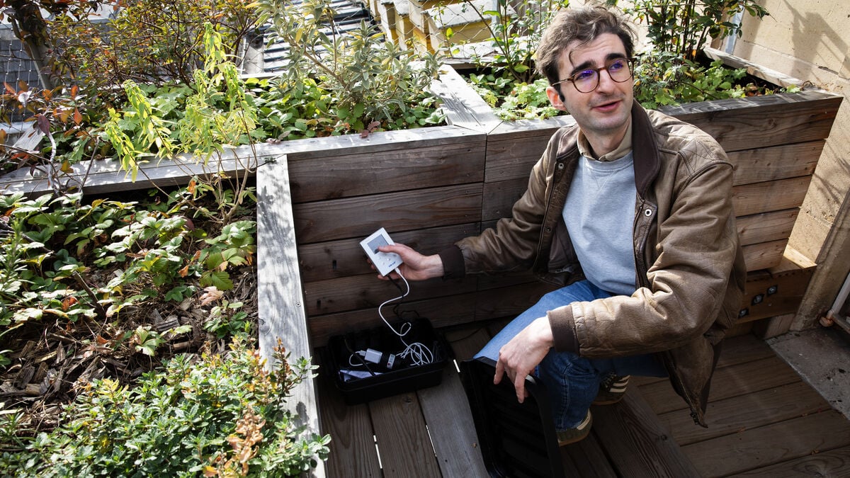 Paris rooftop plants protect against hot apartments