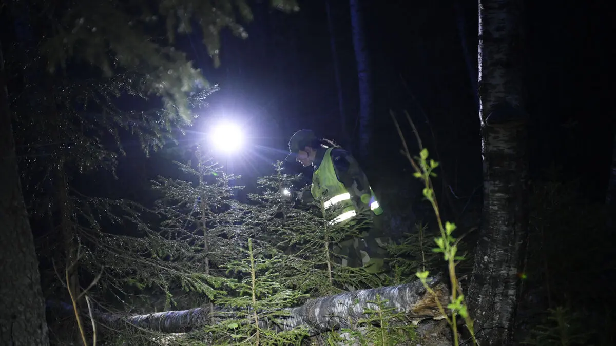 Missing two-year-old found alive, family