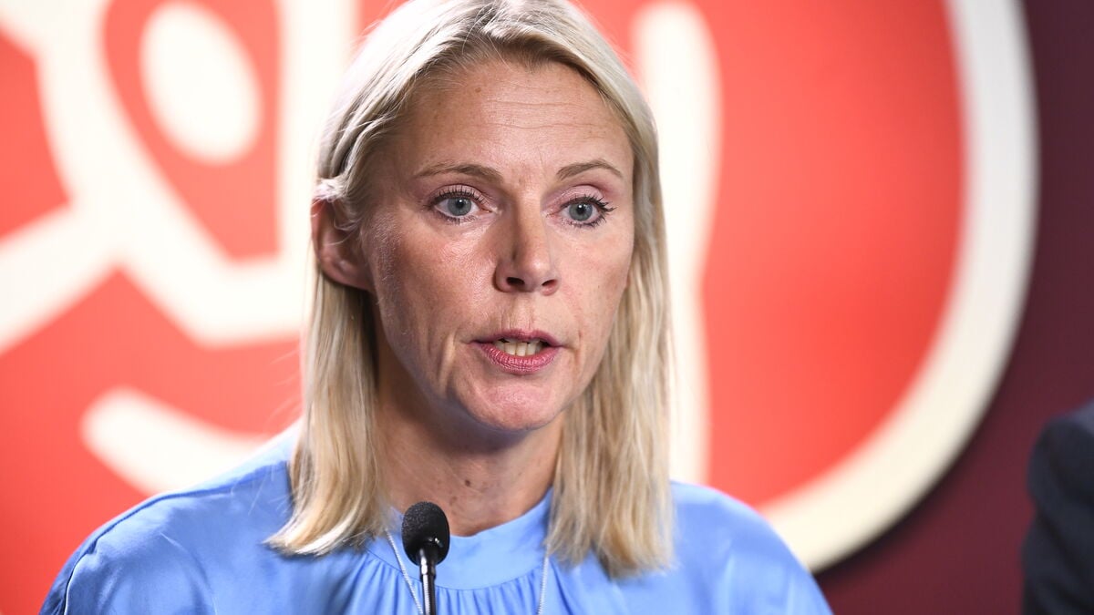 Sweden’s Red-Green parties push government toward tougher EU climate policies despite deadlock